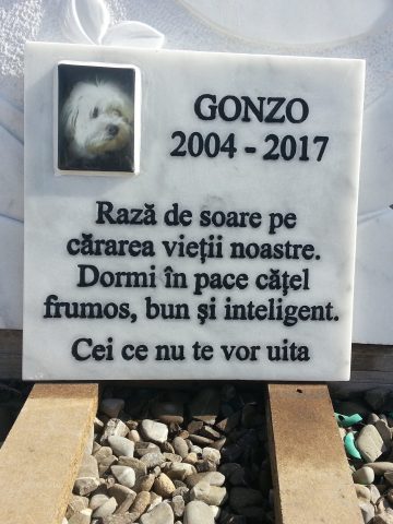 Inscripții Plăci Memoriale